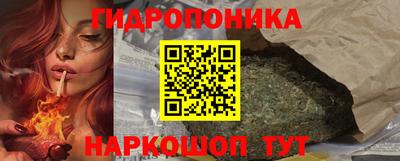стафф Славгород