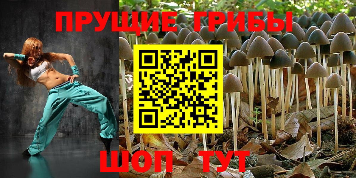 Новодвинск  Псилоцибиновые грибы Cubensis  Вход с VPN  Галлюциногенные грибы ЛСД 